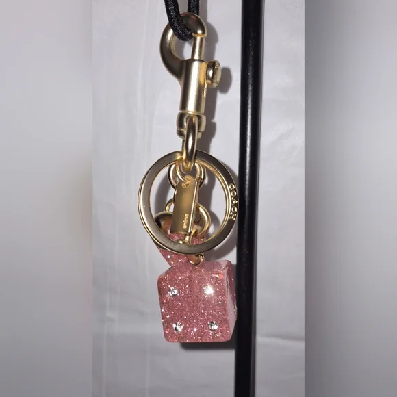 NWOT Coach Dice Cluster Bag Charm/ Keychain - Picture 9 of 9